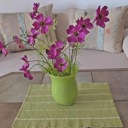 Apartment Vuleta