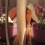Apartment Vuleta